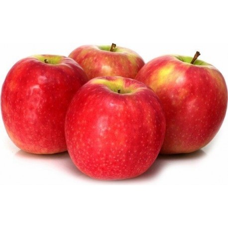 Manzana Pink Lady Nacional